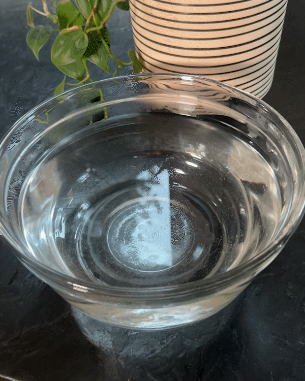 An Earth Breeze sheet dissolving completely in a bowl of water